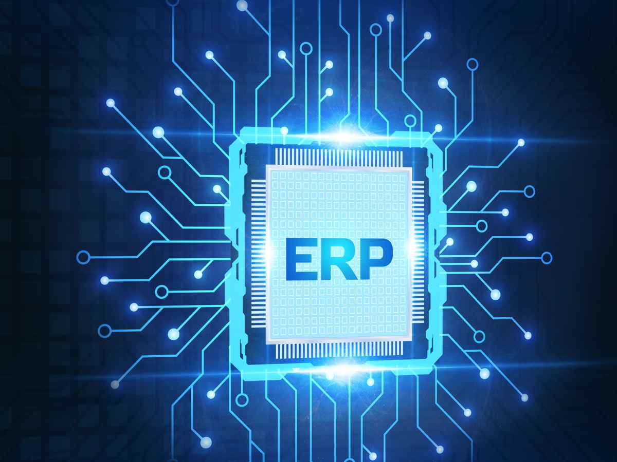 ERP Statistics 2023 - Cover Image